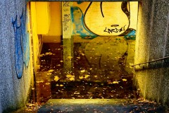 IMG_20201222_164001290