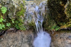 PXL_20230820_091359840.LONG_EXPOSURE-01.COVER2_