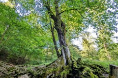 PXL_20230820_0916558662
