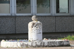 Lichtenstein Steineschlange