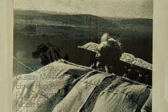 PXL_20230702_1447403942