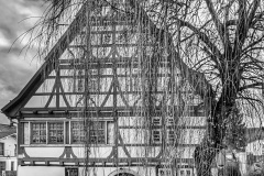 PXL_20230109_1159403612-03
