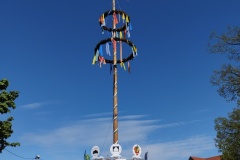 IMG_20210513_101005093