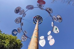IMG_20210513_101236317