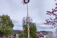 Maibaum Eningen 2021