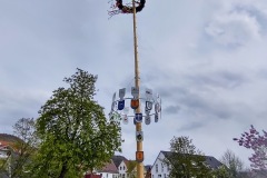 Maibaum Eningen 2021