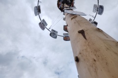 Maibaum Eningen 2021