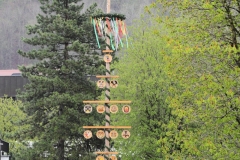 Maibaum Lichtenstein-Unterhausen 2021