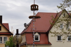 Maibaum Pfullingen 2021