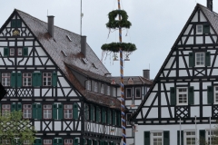 Maibaum Pfullingen 2021