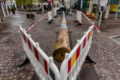 IMG_20220430_104718153_HDR2