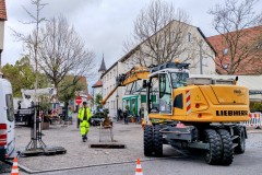 IMMaibaum Pfullingen 2022G_20220430_1302411183