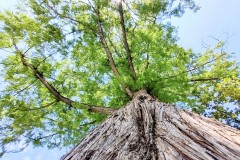 IMG_20210809_115141589_HDR2