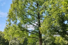 IMG_20210809_115525237_HDR2
