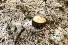 Marktplatz Pfullingen