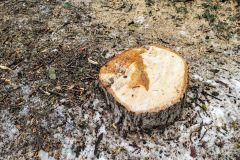 Marktplatz Pfullingen