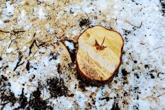 Marktplatz Pfullingen