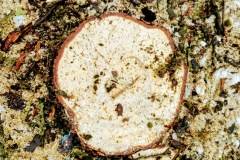 Marktplatz Pfullingen