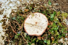 Marktplatz Pfullingen