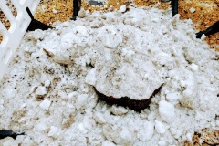 Marktplatz Pfullingen