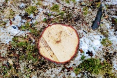 Marktplatz Pfullingen