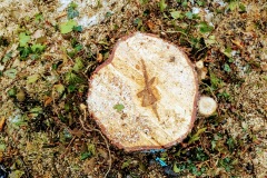 Marktplatz Pfullingen