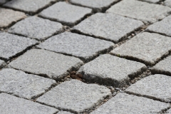 Marktplatz Stadtboden Muster Rottenbung