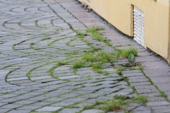 Stadtboden fuer Pfullingen