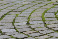 Stadtboden fuer Pfullingen