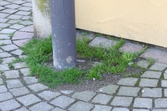 Stadtboden fuer Pfullingen