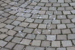 Stadtboden fuer Pfullingen