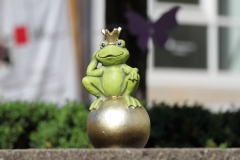 Stadtboden fuer Pfullingen