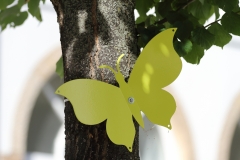 Stadtboden fuer Pfullingen