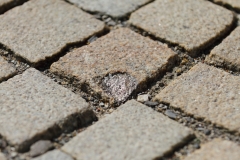 Stadtboden fuer Pfullingen