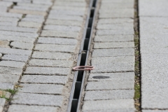 Stadtboden fuer Pfullingen