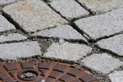 Stadtboden fuer Pfullingen