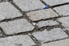 Stadtboden fuer Pfullingen