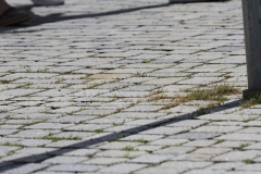 Stadtboden fuer Pfullingen