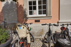 IMG_20210710_100038869_HDR