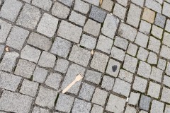 IMG_20210710_1044305482