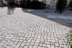 IMG_20210710_1049250372