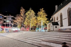 PXL_20231029_174036726.NIGHT2_