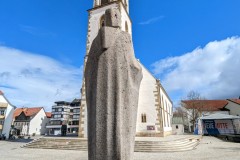 PXL_20230325_1108418822