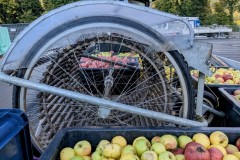 PXL_20251001_1538392122