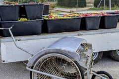 PXL_20251001_1545433082