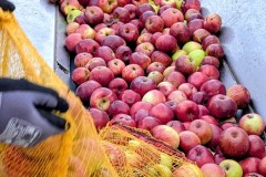 PXL_20251001_163922388.ACTION_PAN-02.ORIGINAL2