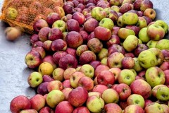 PXL_20251001_163937435.ACTION_PAN-01.COVER2_