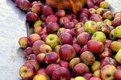 PXL_20251001_163941483.ACTION_PAN-01.COVER2_