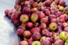 PXL_20251001_163942285.ACTION_PAN-01.COVER2_