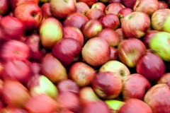 PXL_20251001_164003640.ACTION_PAN-01.COVER2_